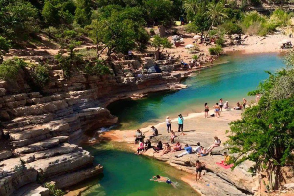 Private Day Trip to Paradise Valley & Atlas Mountain Oases