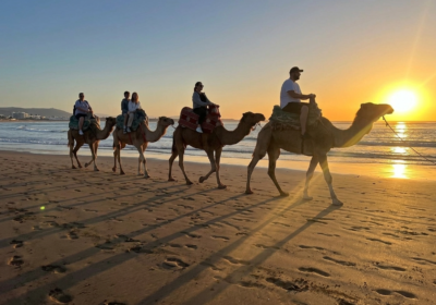 Why a Sunset Camel Ride Along Agadir’s Souss River is a Must-Do