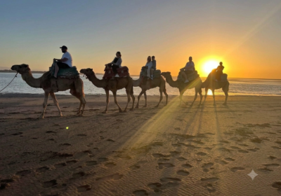 Sunset Camel Ride & Tea Ceremony