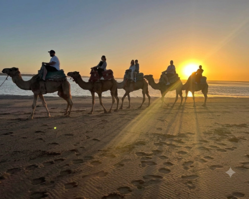 Sunset Camel Ride & Tea Ceremony
