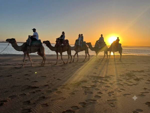 Sunset Camel Ride & Tea Ceremony