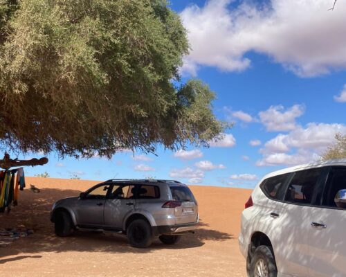 Mini Sahara 4×4 Day Tour with Lunch