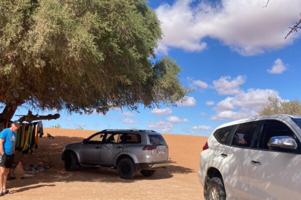 Mini Sahara 4×4 Day Tour with Lunch