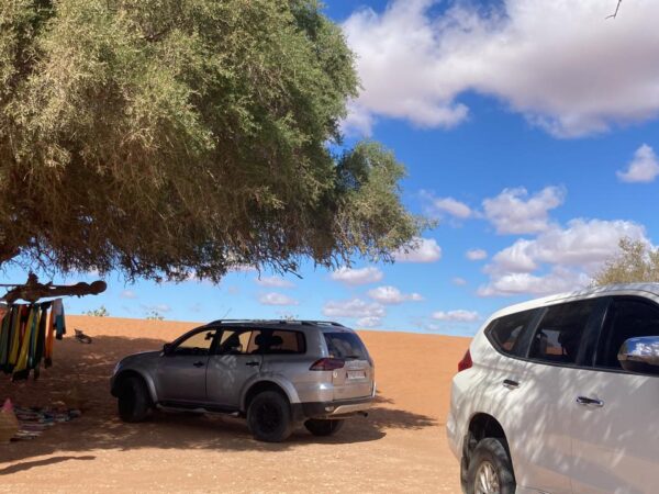 Mini Sahara 4×4 Day Tour with Lunch