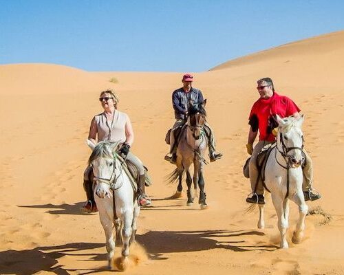 Forest & Sand Dunes Guided Horse Riding Tour