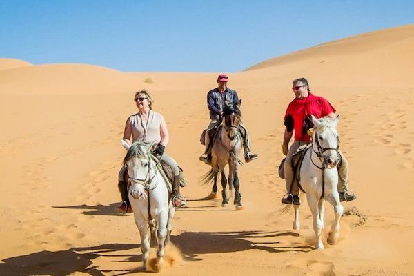 Forest & Sand Dunes Guided Horse Riding Tour