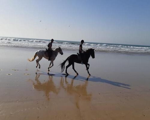 Sunset Horse Ride With Dinner
